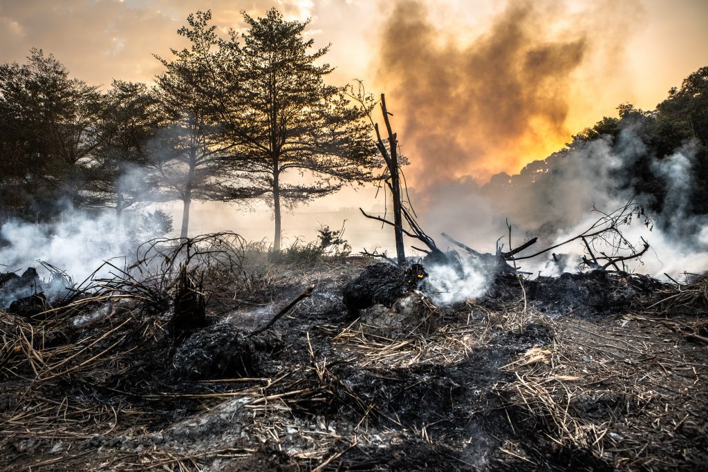 Wildfire in Colorado
