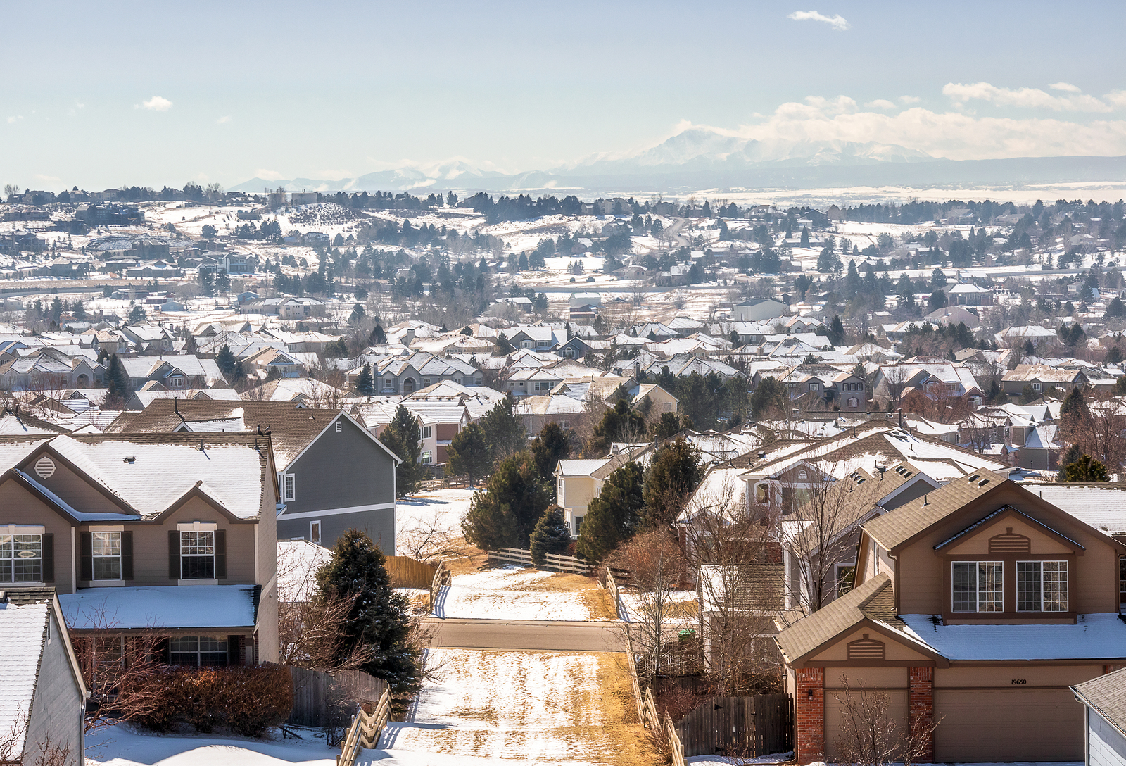 Coronavirus Slows But Can T Stop Robust Housing Market Colorado